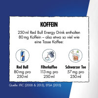 Red Bull Summer Kaktusfrucht 250ml